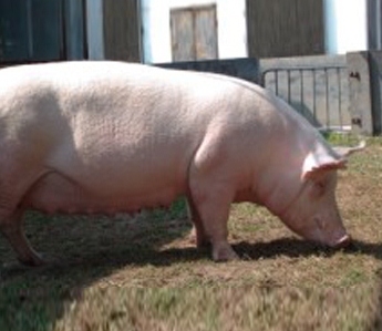 20170927101886038603