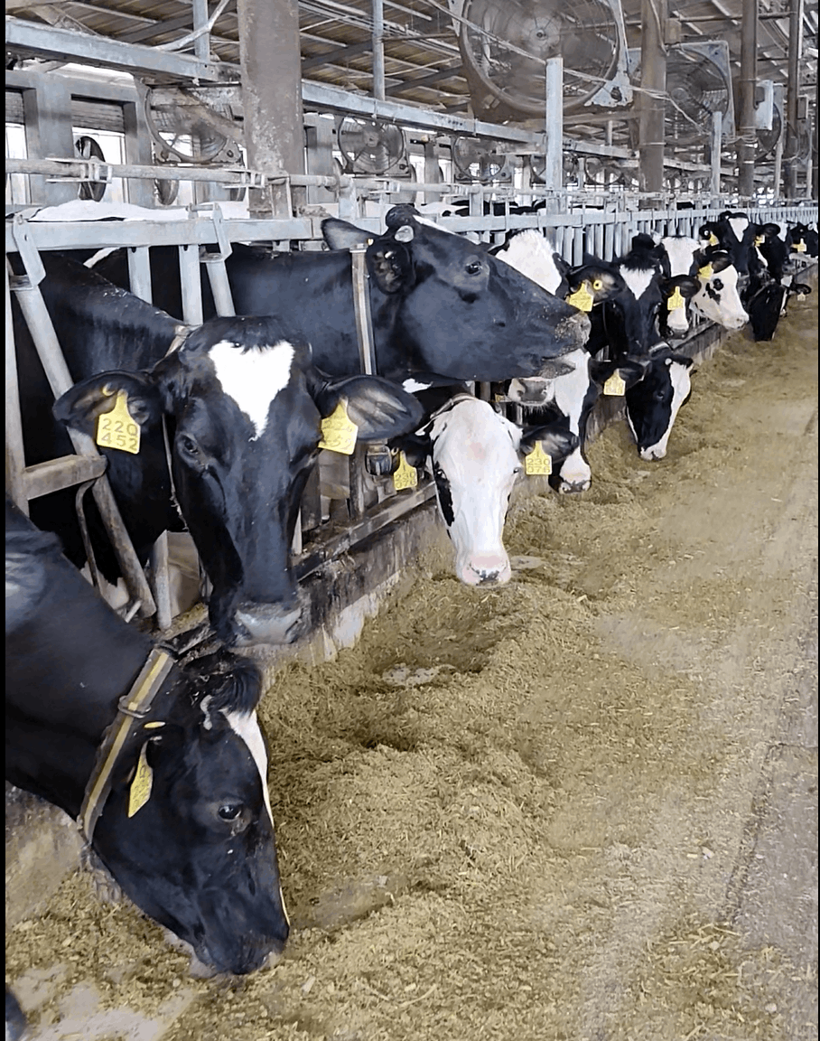 20260121085036873687