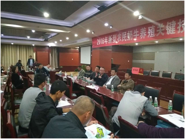 ������K8���� - ����Ӯ�ҡ�һ������