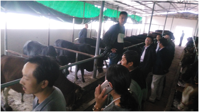 ������K8���� - ����Ӯ�ҡ�һ������