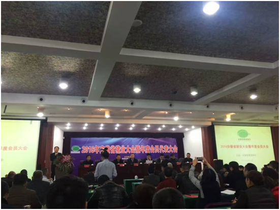 ������K8���� - ����Ӯ�ҡ�һ������