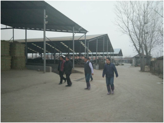 ������K8���� - ����Ӯ�ҡ�һ������