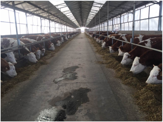 ������K8���� - ����Ӯ�ҡ�һ������