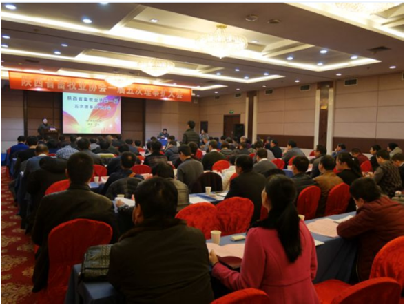 ������K8���� - ����Ӯ�ҡ�һ������