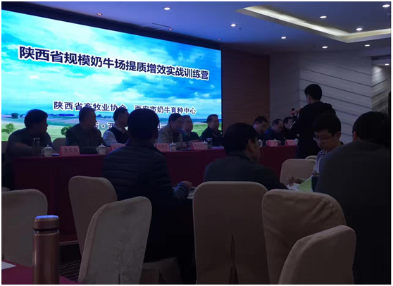 ������K8���� - ����Ӯ�ҡ�һ������