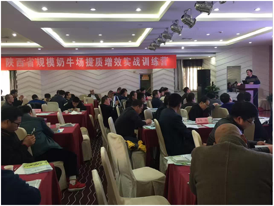 ������K8���� - ����Ӯ�ҡ�һ������