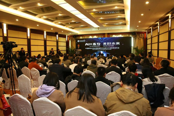 ������K8���� - ����Ӯ�ҡ�һ������