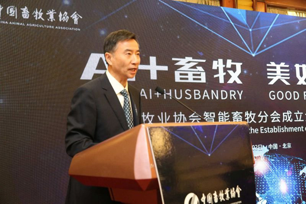 ������K8���� - ����Ӯ�ҡ�һ������