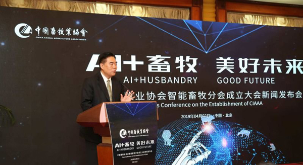 ������K8���� - ����Ӯ�ҡ�һ������