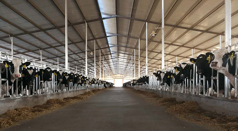 ������K8���� - ����Ӯ�ҡ�һ������