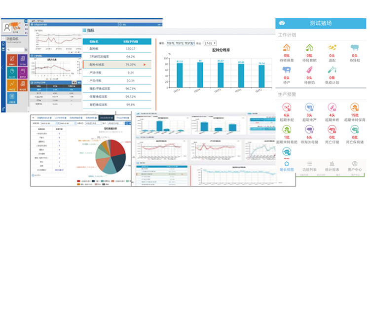 ������K8���� - ����Ӯ�ҡ�һ������