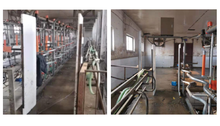 ������K8���� - ����Ӯ�ҡ�һ������