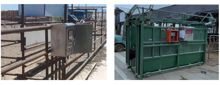 ������K8���� - ����Ӯ�ҡ�һ������