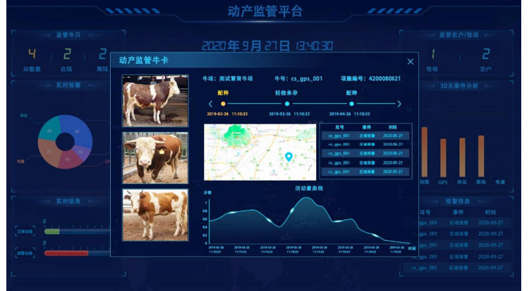 ������K8���� - ����Ӯ�ҡ�һ������