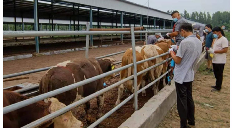 ������K8���� - ����Ӯ�ҡ�һ������