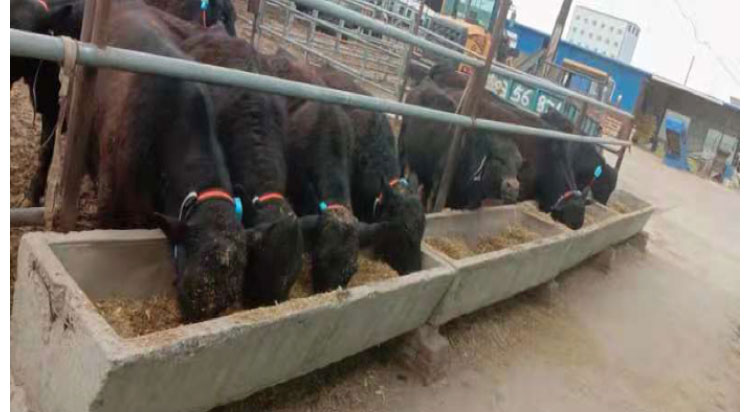 ������K8���� - ����Ӯ�ҡ�һ������