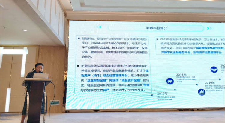 ������K8���� - ����Ӯ�ҡ�һ������