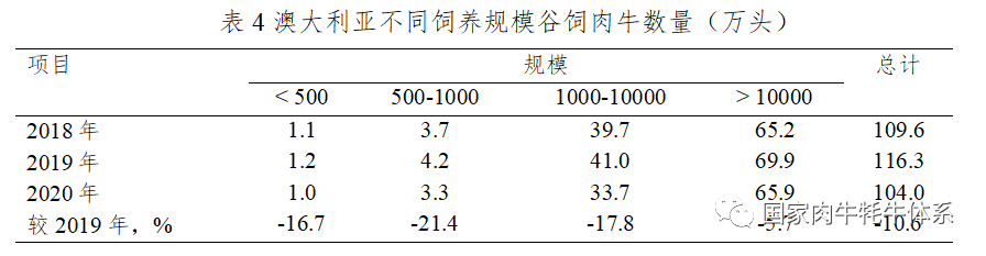 ������K8���� - ����Ӯ�ҡ�һ������