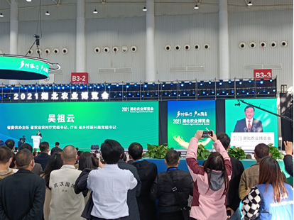 ������K8���� - ����Ӯ�ҡ�һ������