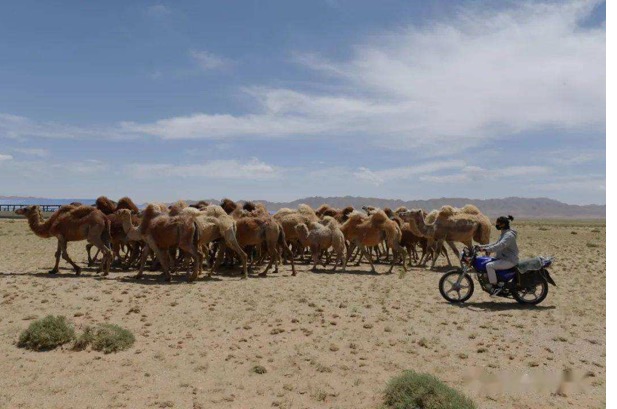 ������K8���� - ����Ӯ�ҡ�һ������