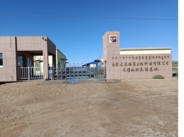 ������K8���� - ����Ӯ�ҡ�һ������