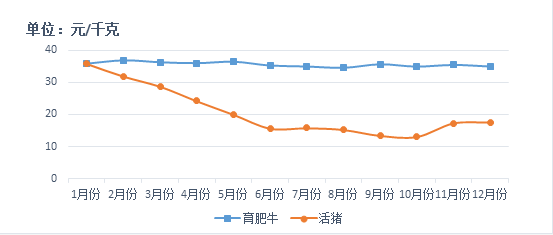 ������K8���� - ����Ӯ�ҡ�һ������