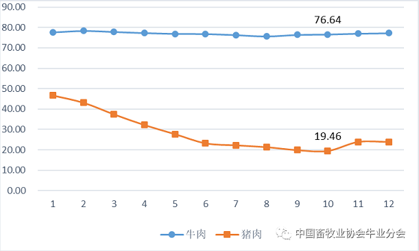 ������K8���� - ����Ӯ�ҡ�һ������