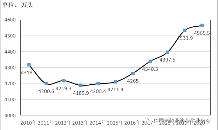 ������K8���� - ����Ӯ�ҡ�һ������