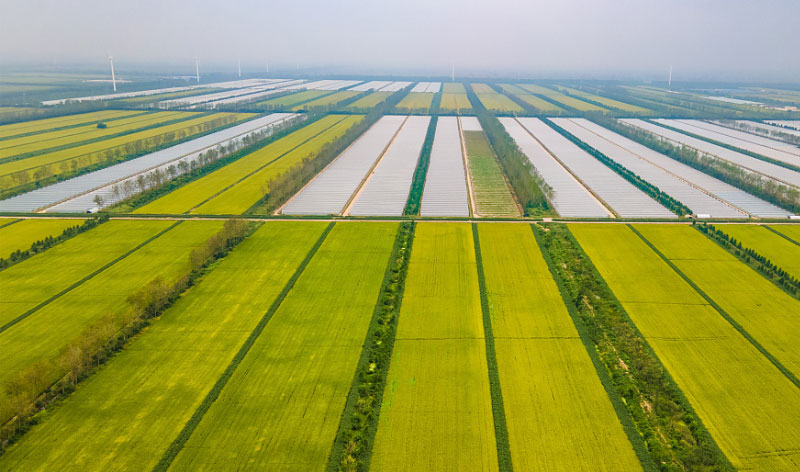 ������K8���� - ����Ӯ�ҡ�һ������