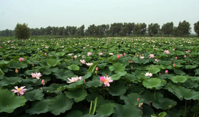 ������K8���� - ����Ӯ�ҡ�һ������