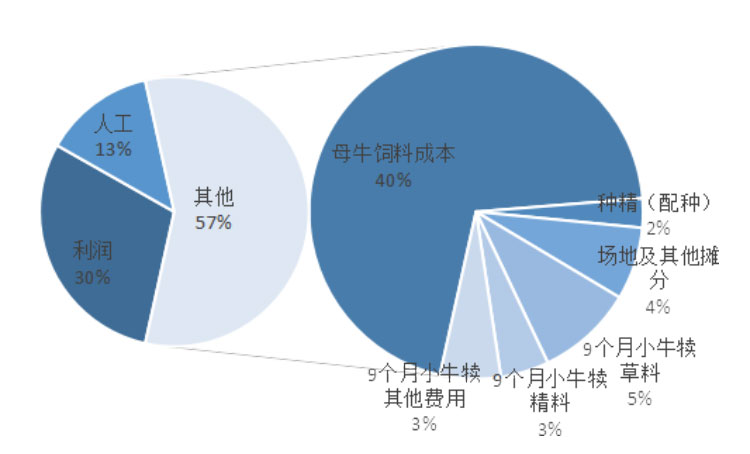 ������K8���� - ����Ӯ�ҡ�һ������
