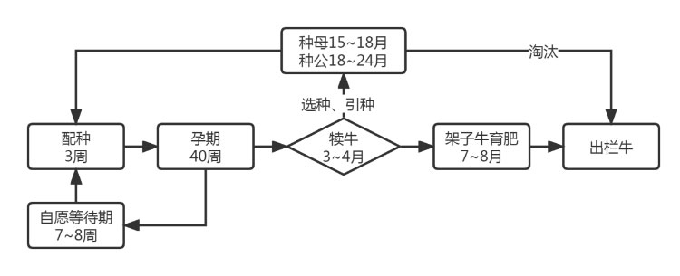 ������K8���� - ����Ӯ�ҡ�һ������