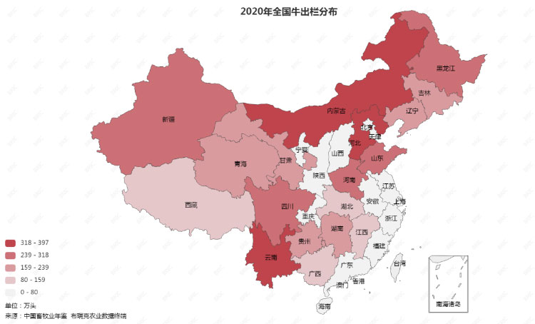 ������K8���� - ����Ӯ�ҡ�һ������