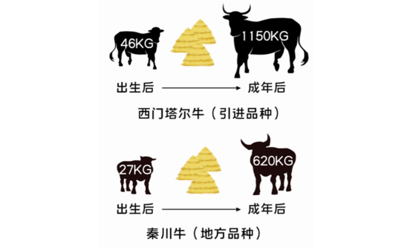 ������K8���� - ����Ӯ�ҡ�һ������