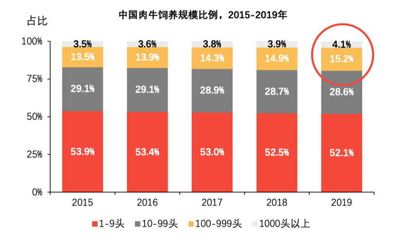 ������K8���� - ����Ӯ�ҡ�һ������
