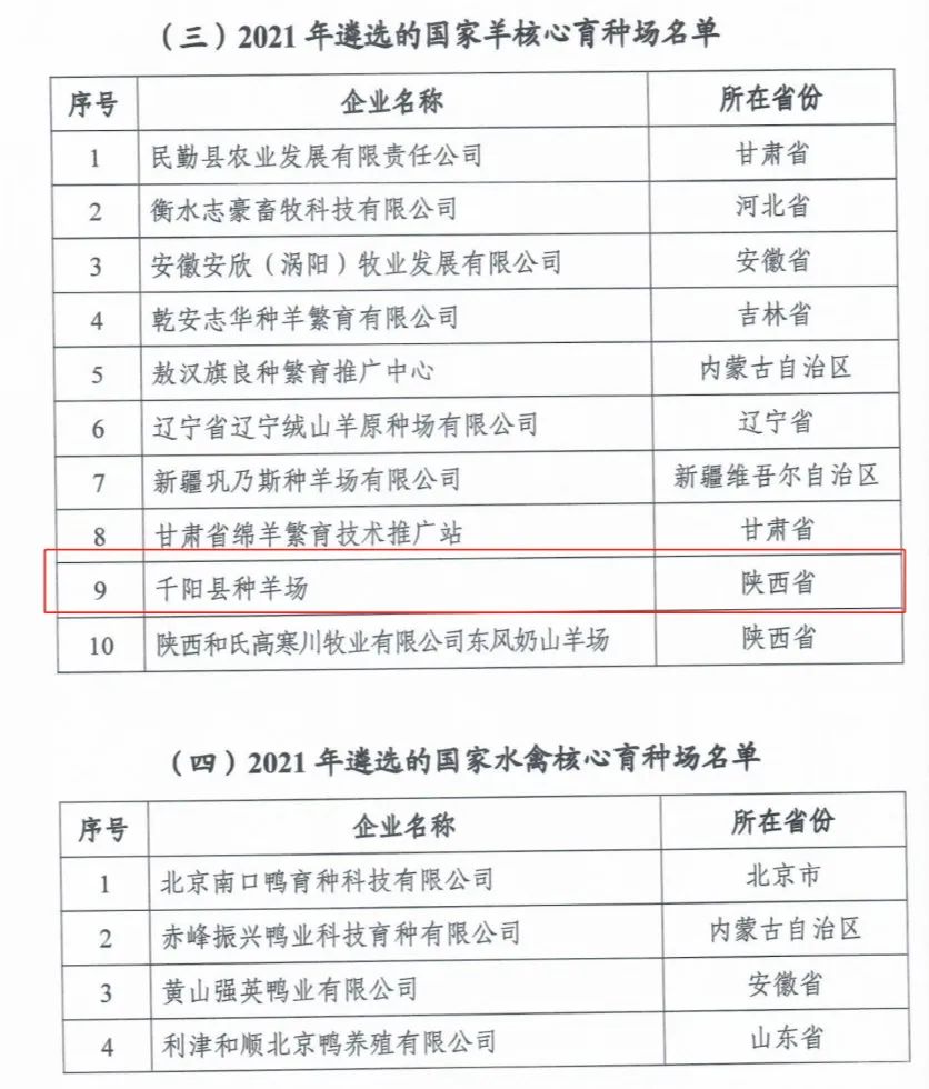 ������K8���� - ����Ӯ�ҡ�һ������