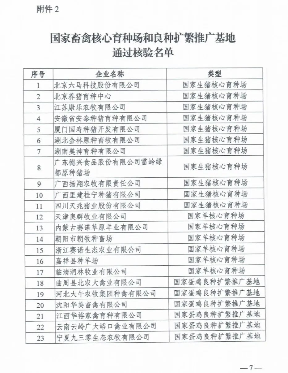 ������K8���� - ����Ӯ�ҡ�һ������