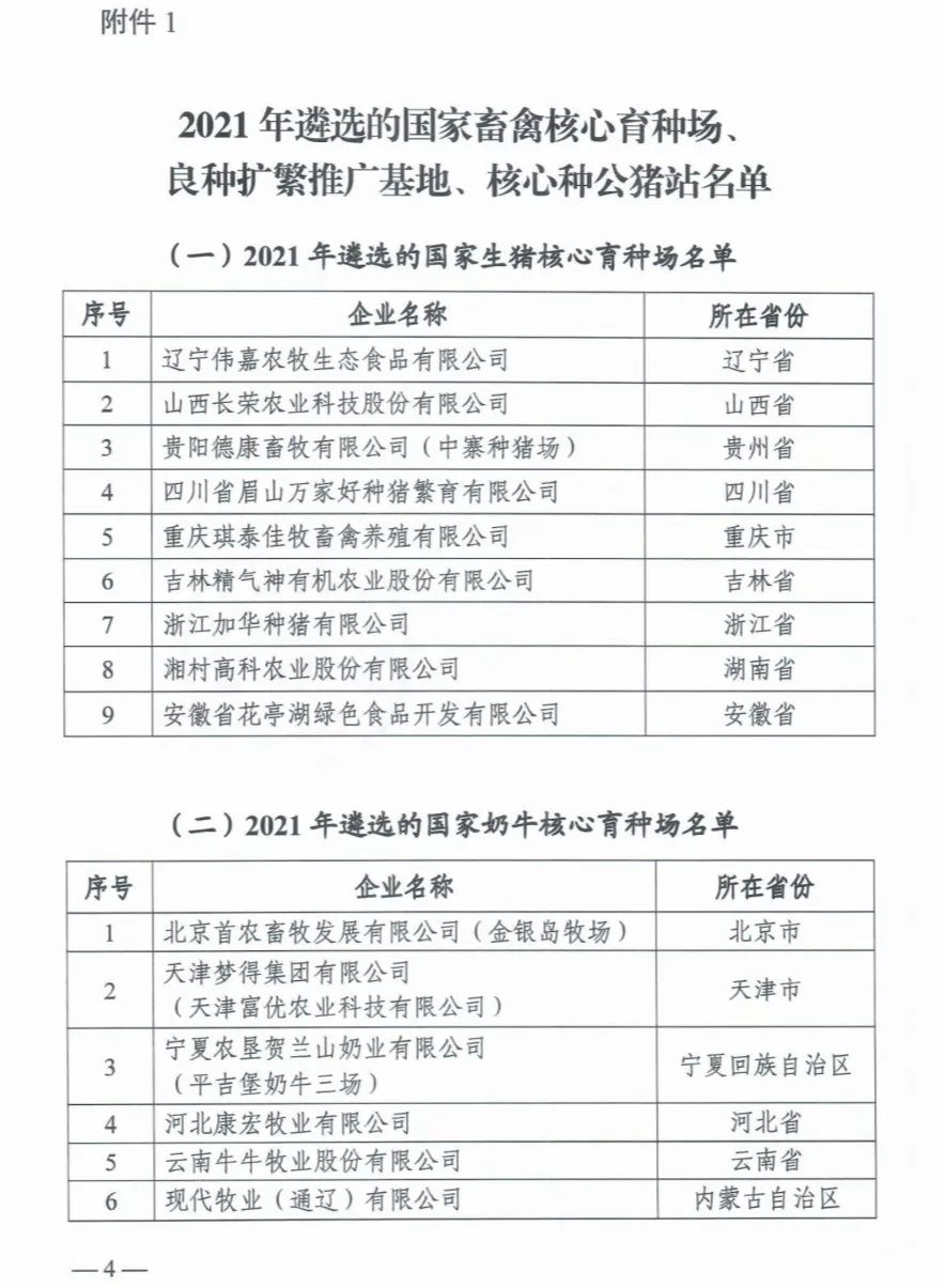 ������K8���� - ����Ӯ�ҡ�һ������