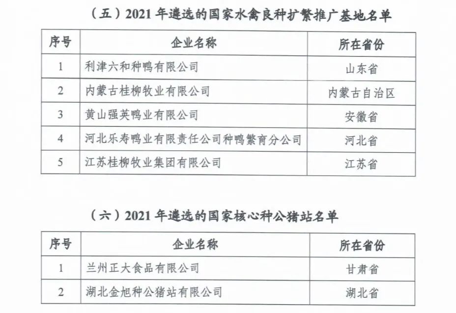 ������K8���� - ����Ӯ�ҡ�һ������