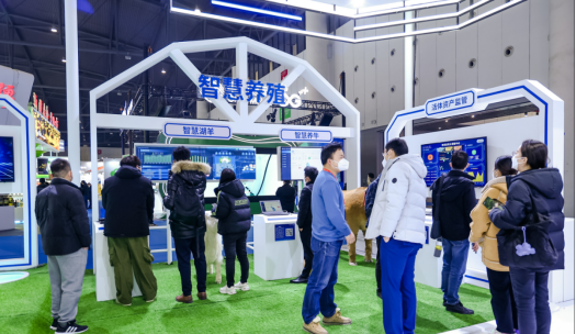 ������K8���� - ����Ӯ�ҡ�һ������