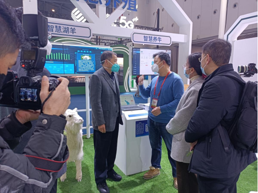 ������K8���� - ����Ӯ�ҡ�һ������