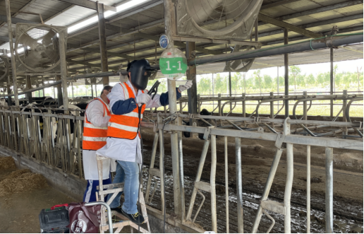 ������K8���� - ����Ӯ�ҡ�һ������