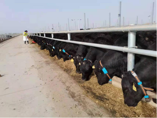 ������K8���� - ����Ӯ�ҡ�һ������