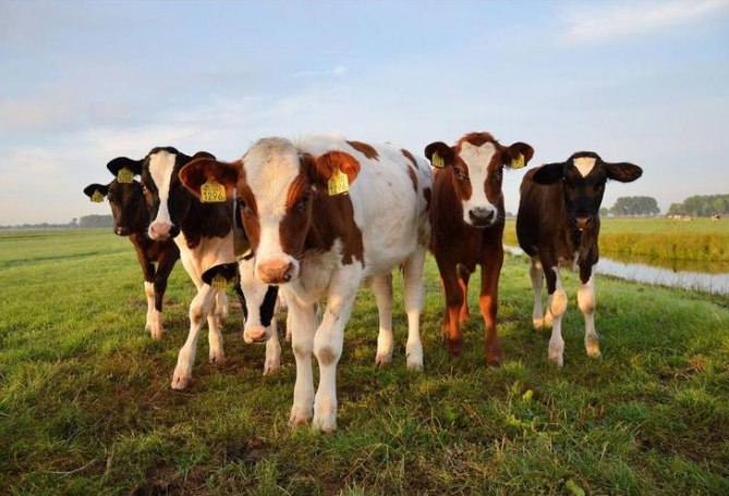 ������K8���� - ����Ӯ�ҡ�һ������