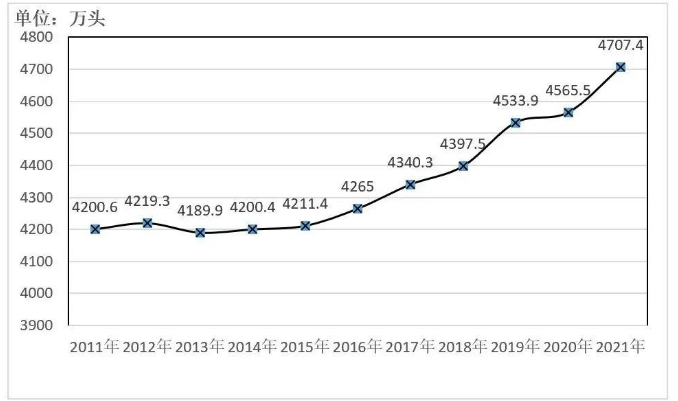 ������K8���� - ����Ӯ�ҡ�һ������