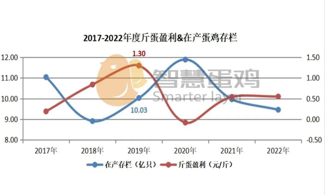 ������K8���� - ����Ӯ�ҡ�һ������