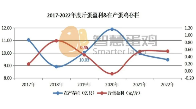 ������K8���� - ����Ӯ�ҡ�һ������