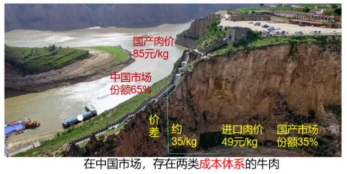 ������K8���� - ����Ӯ�ҡ�һ������