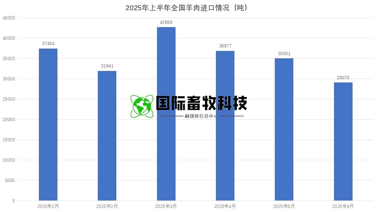 ������K8���� - ����Ӯ�ҡ�һ������