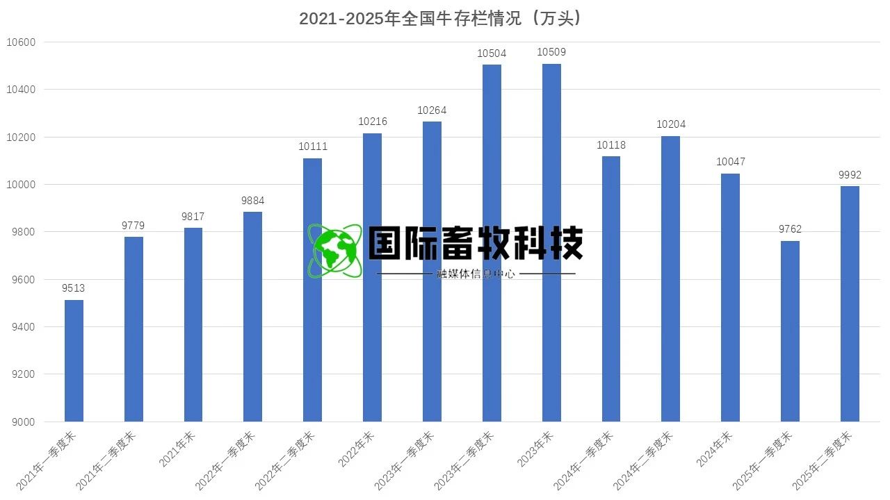 ������K8���� - ����Ӯ�ҡ�һ������